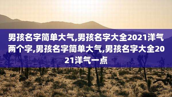 男孩名字简单大气,男孩名字大全2021洋气两个字,男孩名字简单大气,男孩名字大全2021洋气一点