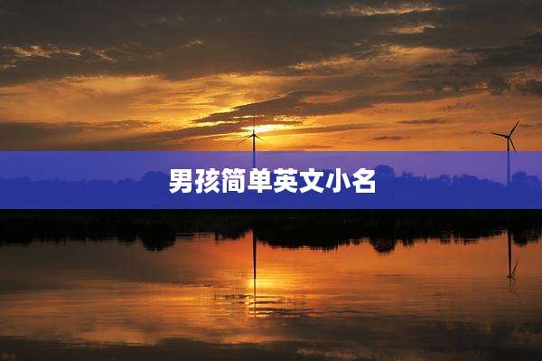 男孩简单英文小名