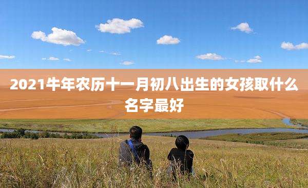 2021牛年农历十一月初八出生的女孩取什么名字最好
