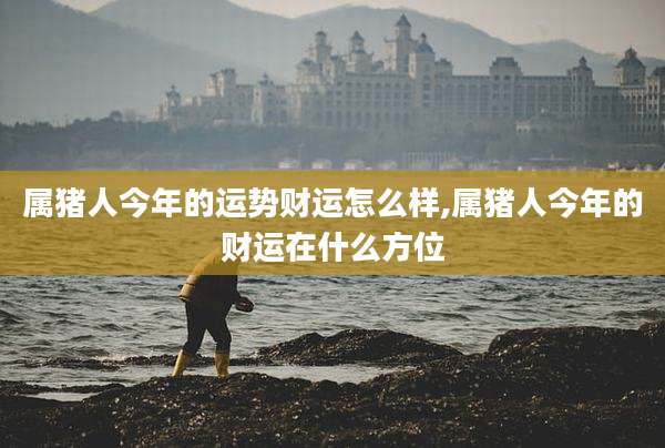 属猪人今年的运势财运怎么样,属猪人今年的财运在什么方位