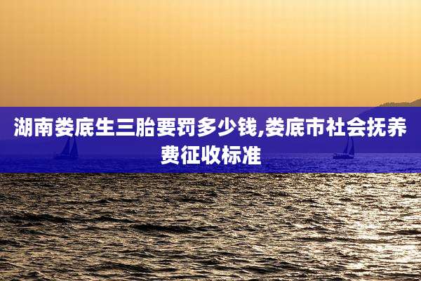 湖南娄底生三胎要罚多少钱,娄底市社会抚养费征收标准