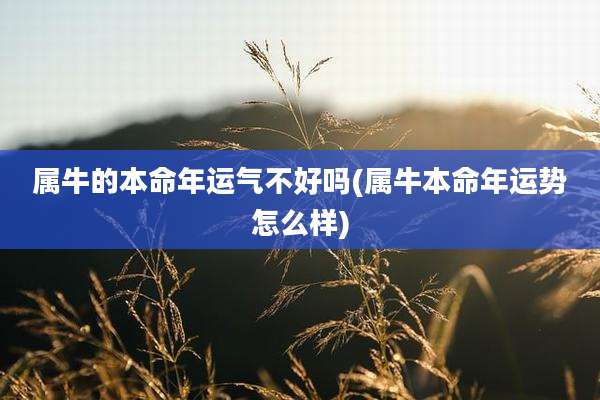 属牛的本命年运气不好吗(属牛本命年运势怎么样)