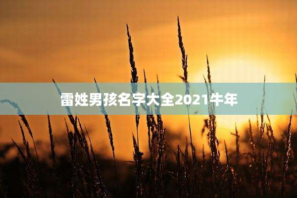 雷姓男孩名字大全2021牛年