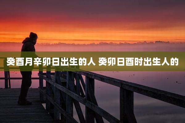 癸酉月辛卯日出生的人 癸卯日酉时出生人的