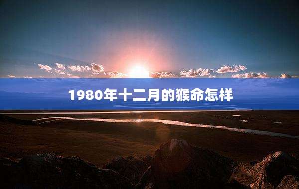 1980年十二月的猴命怎样