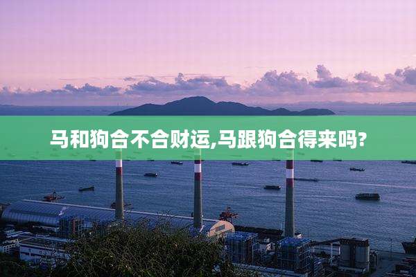 马和狗合不合财运,马跟狗合得来吗?