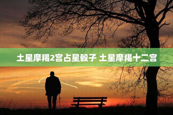 土星摩羯2宫占星骰子 土星摩羯十二宫