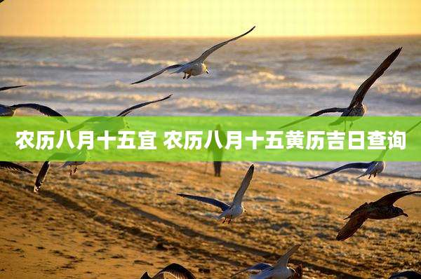 农历八月十五宜 农历八月十五黄历吉日查询