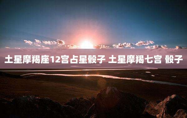 土星摩羯座12宫占星骰子 土星摩羯七宫 骰子