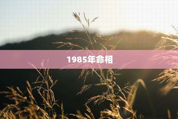 1985年命相