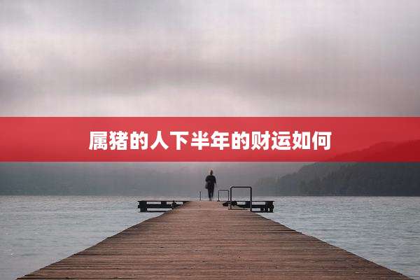 属猪的人下半年的财运如何