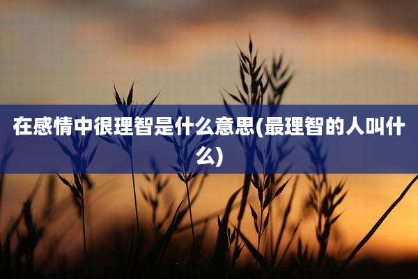 在感情中很理智是什么意思(最理智的人叫什么)