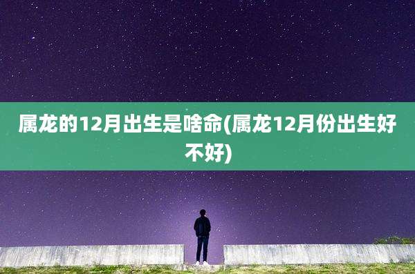 属龙的12月出生是啥命(属龙12月份出生好不好)
