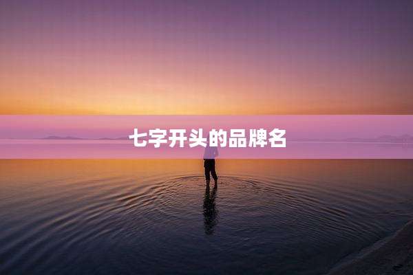 七字开头的品牌名