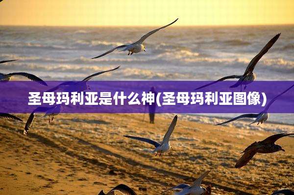 圣母玛利亚是什么神(圣母玛利亚图像)