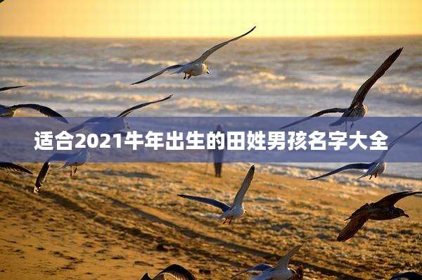 适合2021牛年出生的田姓男孩名字大全