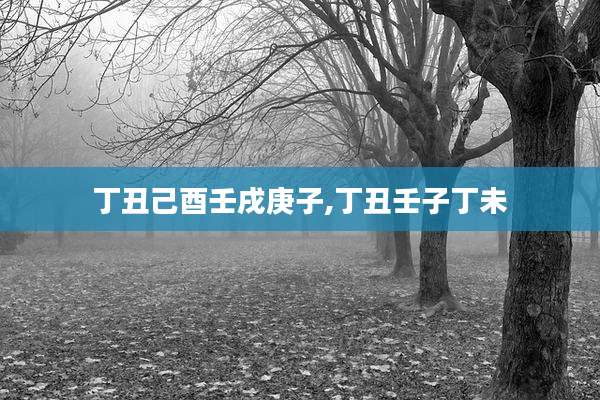 丁丑己酉壬戌庚子,丁丑壬子丁未