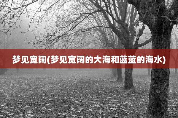 梦见宽阔(梦见宽阔的大海和蓝蓝的海水)