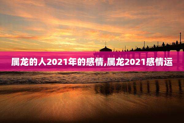 属龙的人2021年的感情,属龙2021感情运