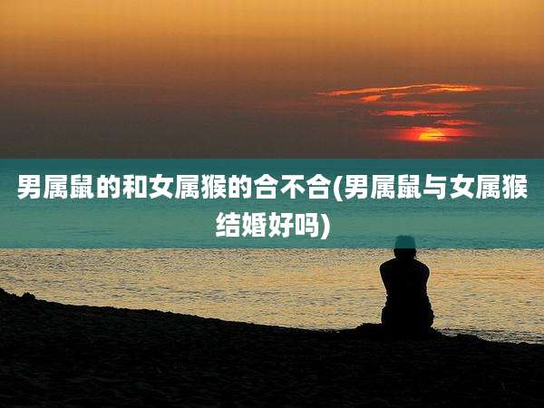 男属鼠的和女属猴的合不合(男属鼠与女属猴结婚好吗)