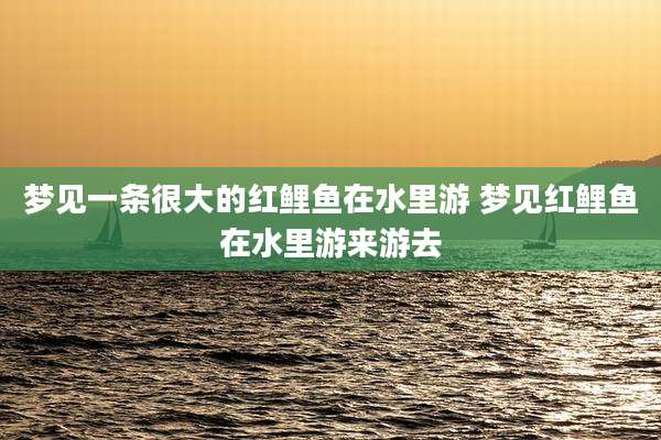 梦见一条很大的红鲤鱼在水里游 梦见红鲤鱼在水里游来游去