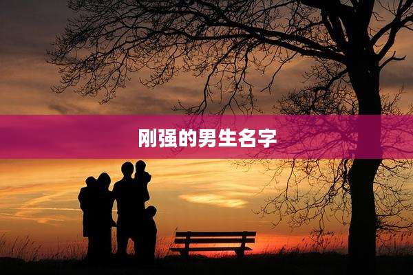 刚强的男生名字