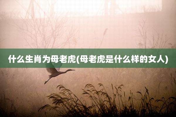 什么生肖为母老虎(母老虎是什么样的女人)