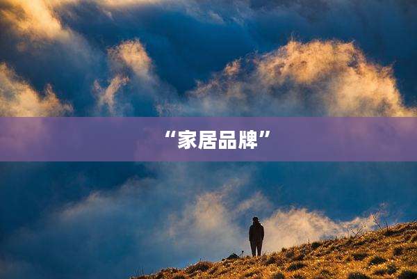 “家居品牌”