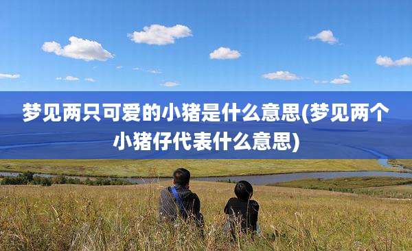 梦见两只可爱的小猪是什么意思(梦见两个小猪仔代表什么意思)
