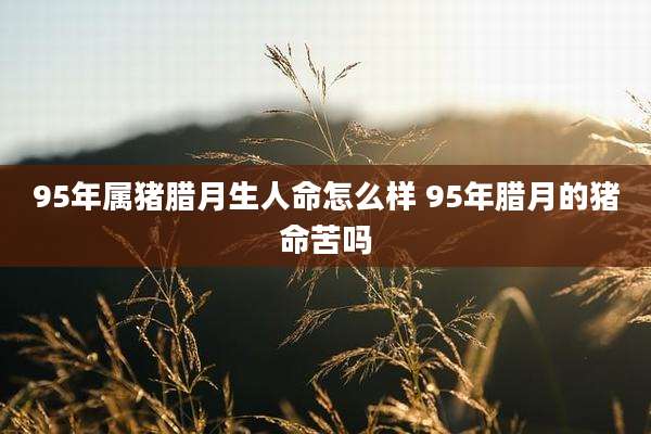 95年属猪腊月生人命怎么样 95年腊月的猪命苦吗