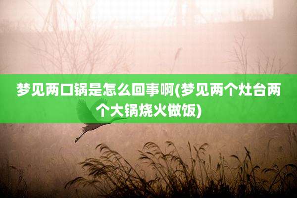 梦见两口锅是怎么回事啊(梦见两个灶台两个大锅烧火做饭)