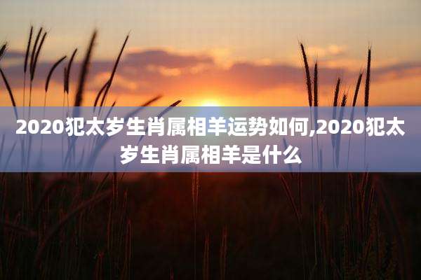 2020犯太岁生肖属相羊运势如何,2020犯太岁生肖属相羊是什么