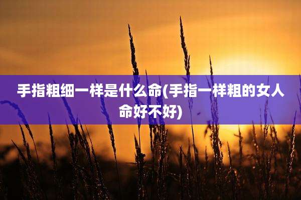 手指粗细一样是什么命(手指一样粗的女人命好不好)