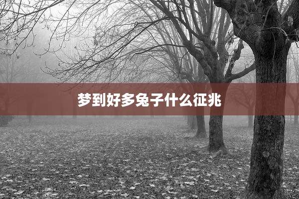 梦到好多兔子什么征兆