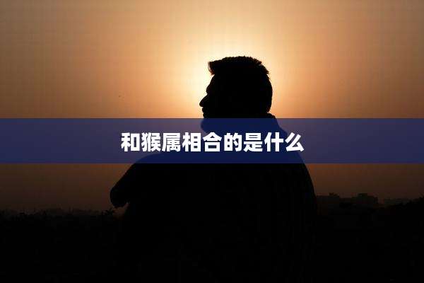 和猴属相合的是什么