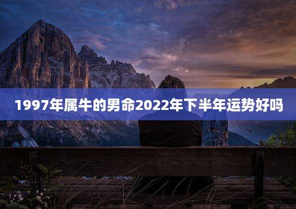 1997年属牛的男命2022年下半年运势好吗