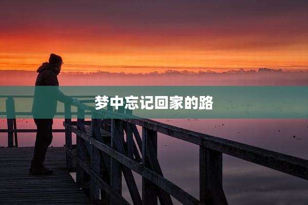 梦中忘记回家的路