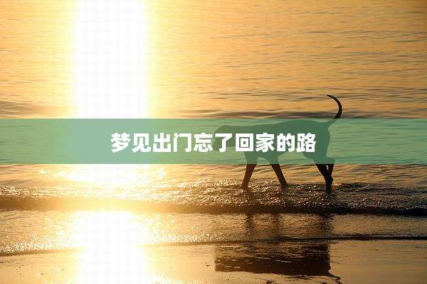 梦见出门忘了回家的路