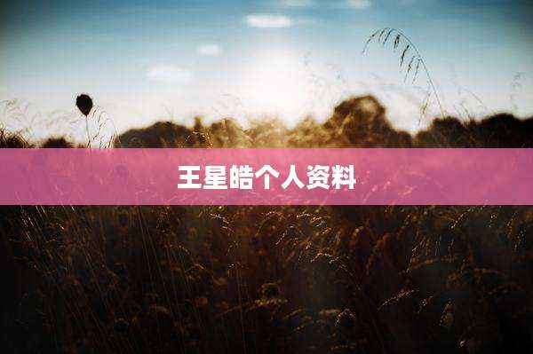 王星皓个人资料