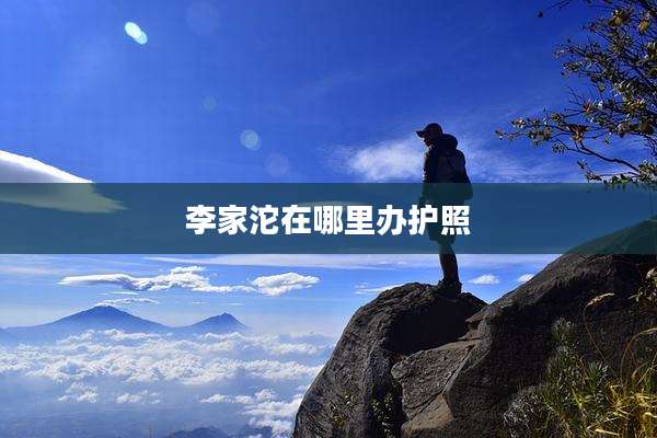 李家沱在哪里办护照