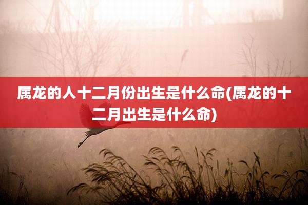 属龙的人十二月份出生是什么命(属龙的十二月出生是什么命)