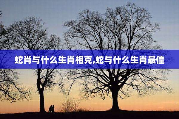蛇肖与什么生肖相克,蛇与什么生肖最佳