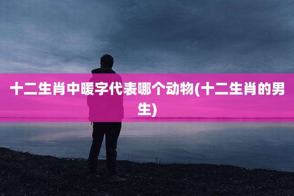 十二生肖中暖字代表哪个动物(十二生肖的男生)