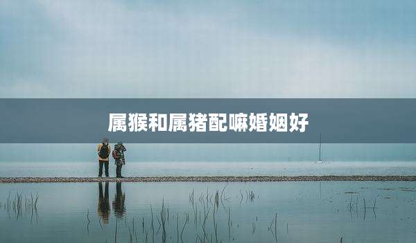 属猴和属猪配嘛婚姻好