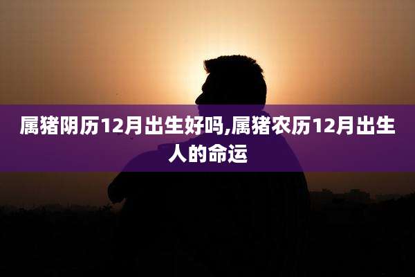 属猪阴历12月出生好吗,属猪农历12月出生人的命运