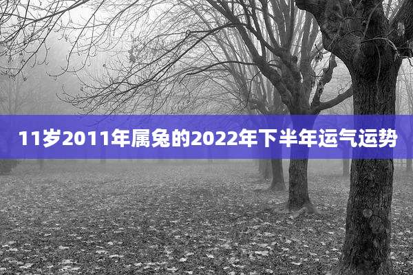 11岁2011年属兔的2022年下半年运气运势