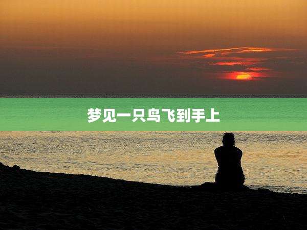梦见一只鸟飞到手上
