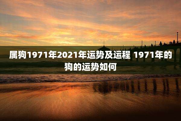 属狗1971年2021年运势及运程 1971年的狗的运势如何