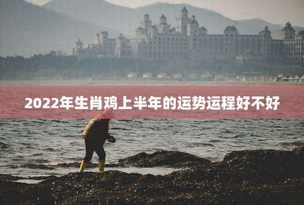 2022年生肖鸡上半年的运势运程好不好