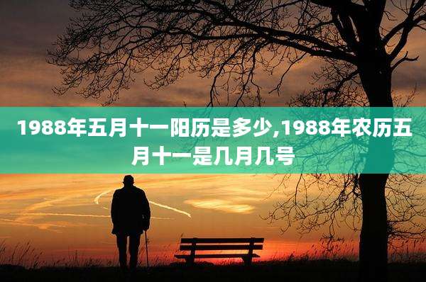 1988年五月十一阳历是多少,1988年农历五月十一是几月几号